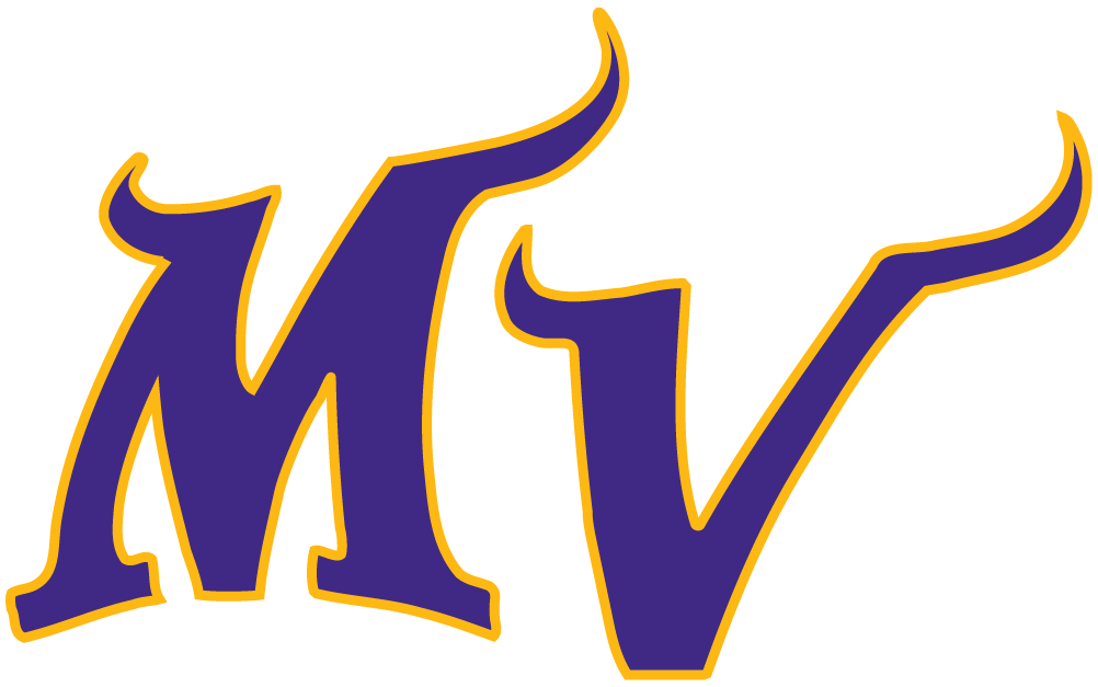 Minnesota Vikings 2004-Pres Alternate Logo iron on transfers for T-shirts
